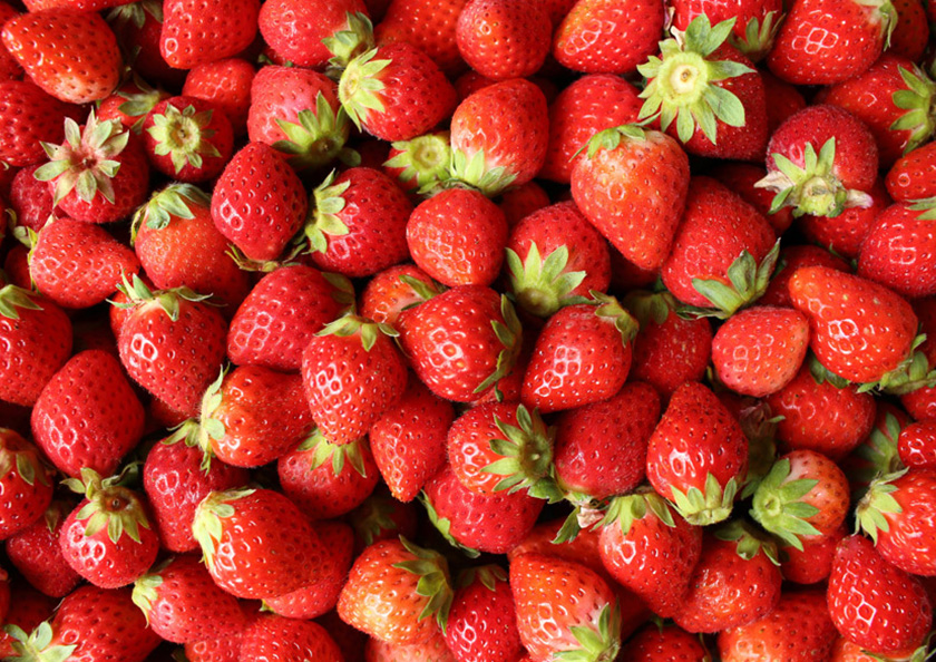 いちごのサイコロゲームで最大2パックを500円（税込）でゲット！