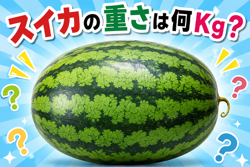 ■Wチャンス企画：巨大スイカ重さ当てクイズ